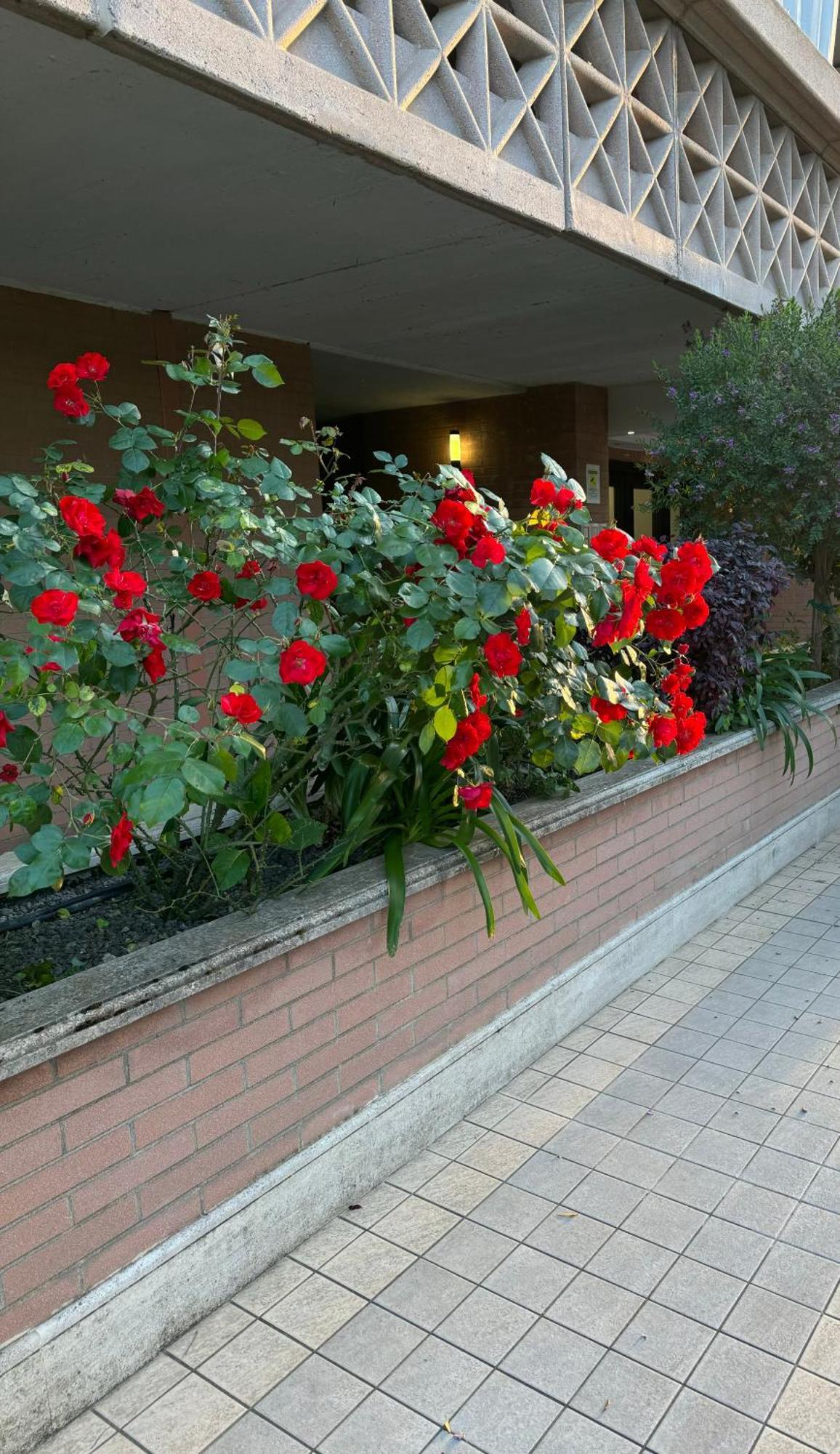 Flaminia Home روما المظهر الخارجي الصورة